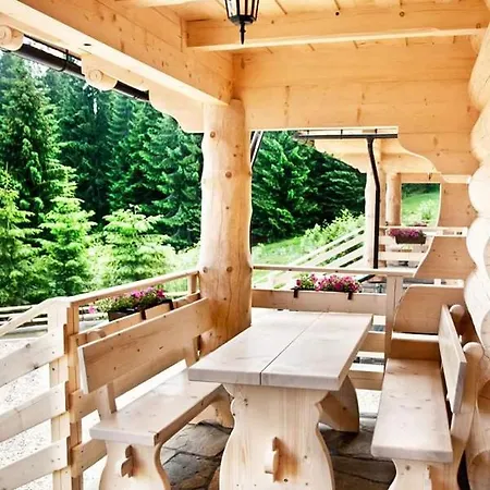 Pod Lasem Nowe Bystre