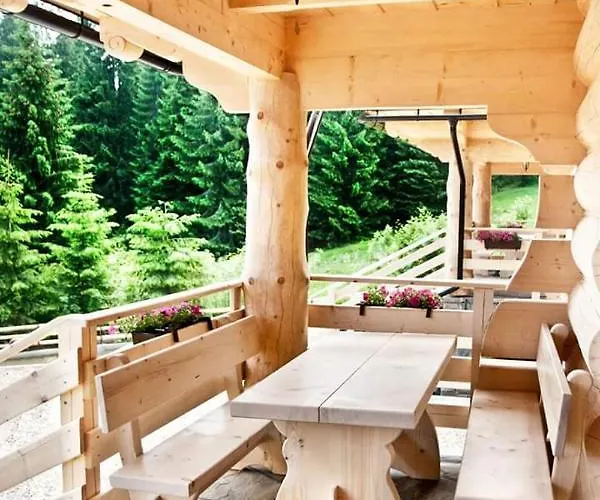 Pod Lasem Nowe Bystre